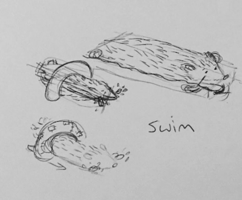 sketch of hedgehogs swimming