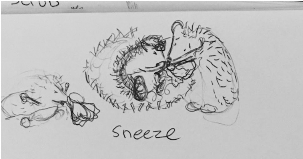 sketch of hedgehog sneezing