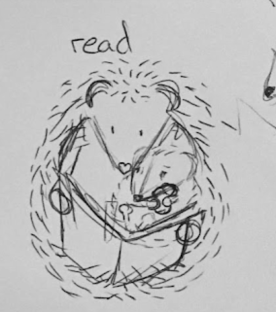 hedgehog reading