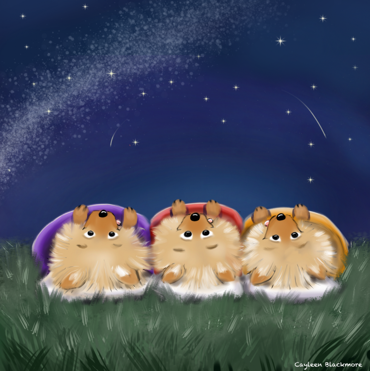 Pomeranian dogs star gazing in sleeping bags under a night sky