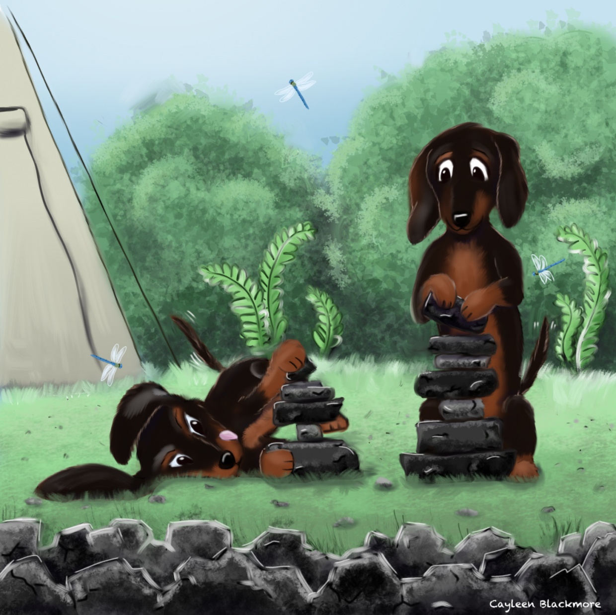 dachshund puppy dogs playing with rocks while camping