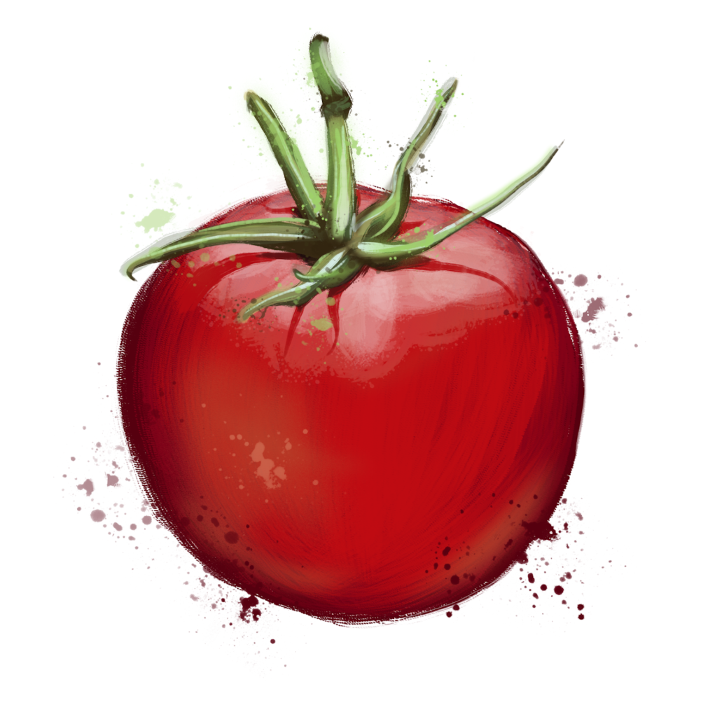 Nice red tomato