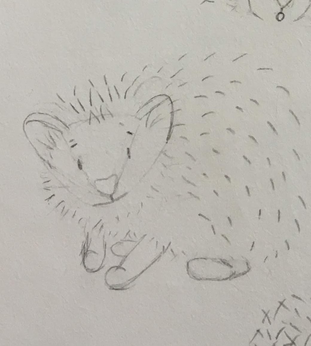 A simple sketch of a hedgehog