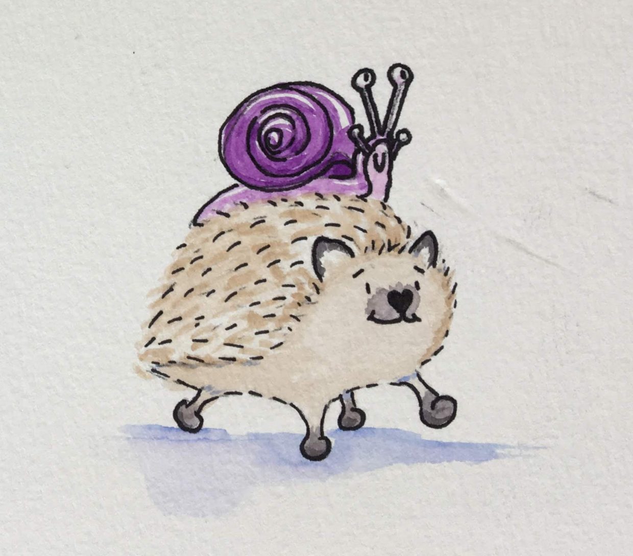 A watercolour hedgehog with a snail riding on its back