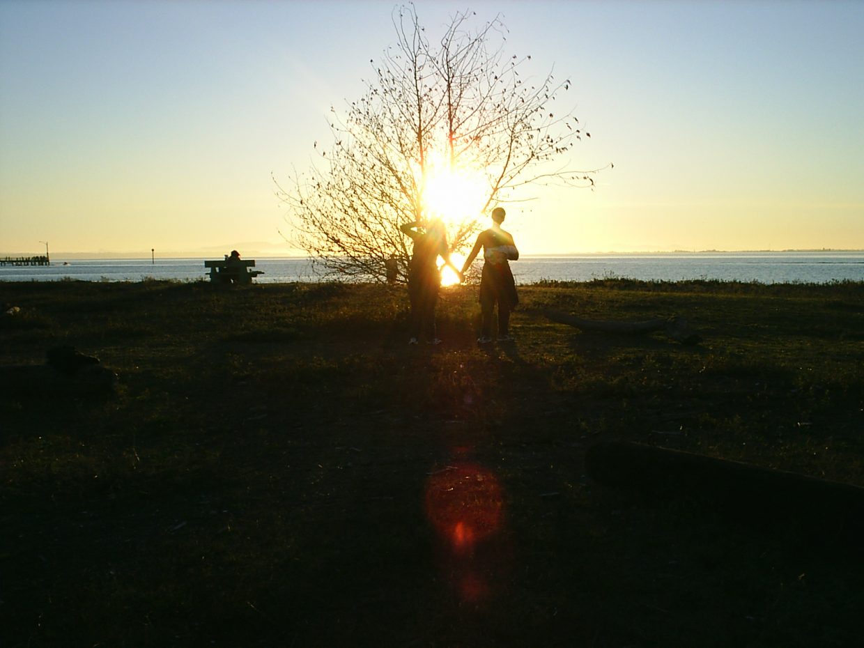 Sun behind a tree behind a couple