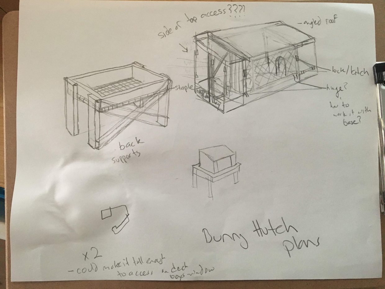 sketch of a bunny hutch