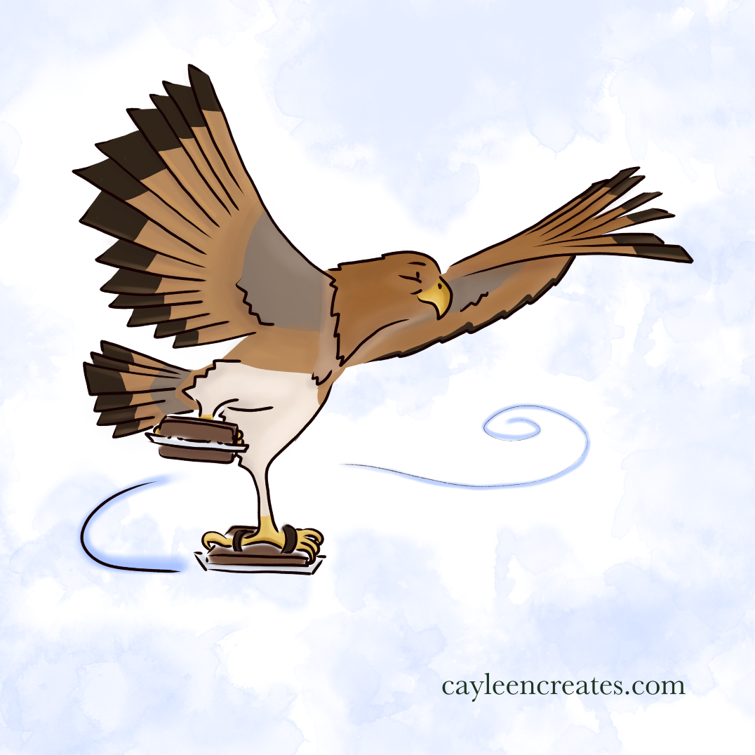 ice skating hawk