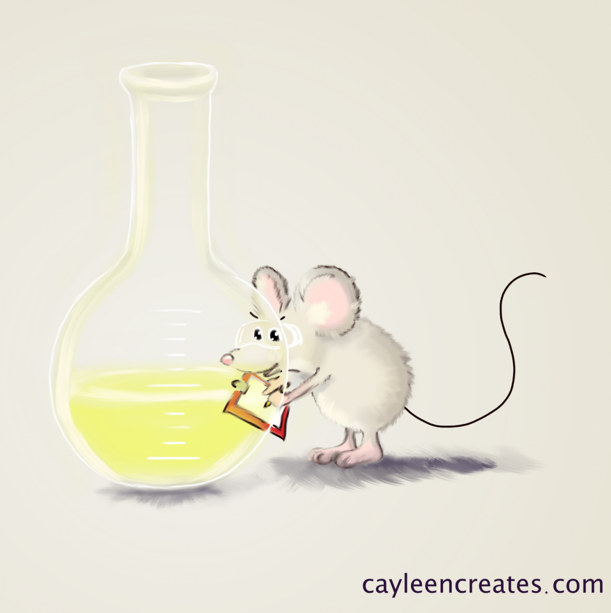 lab mouse