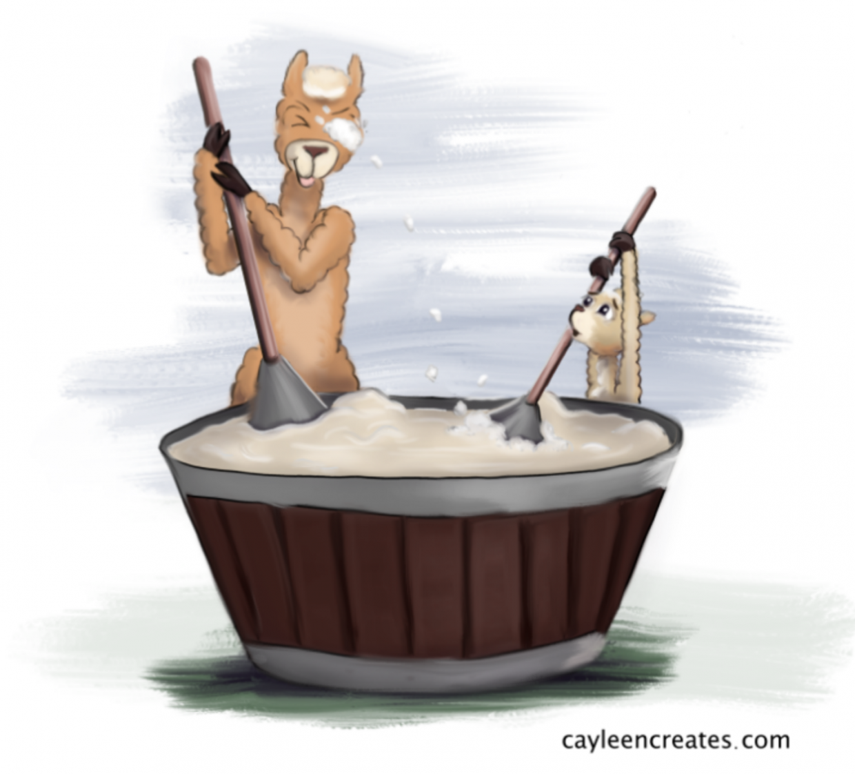 washing fleece alpaca