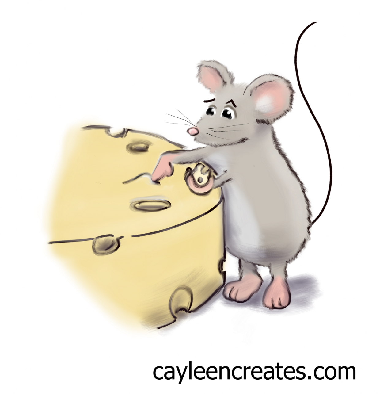 mouse senses touch