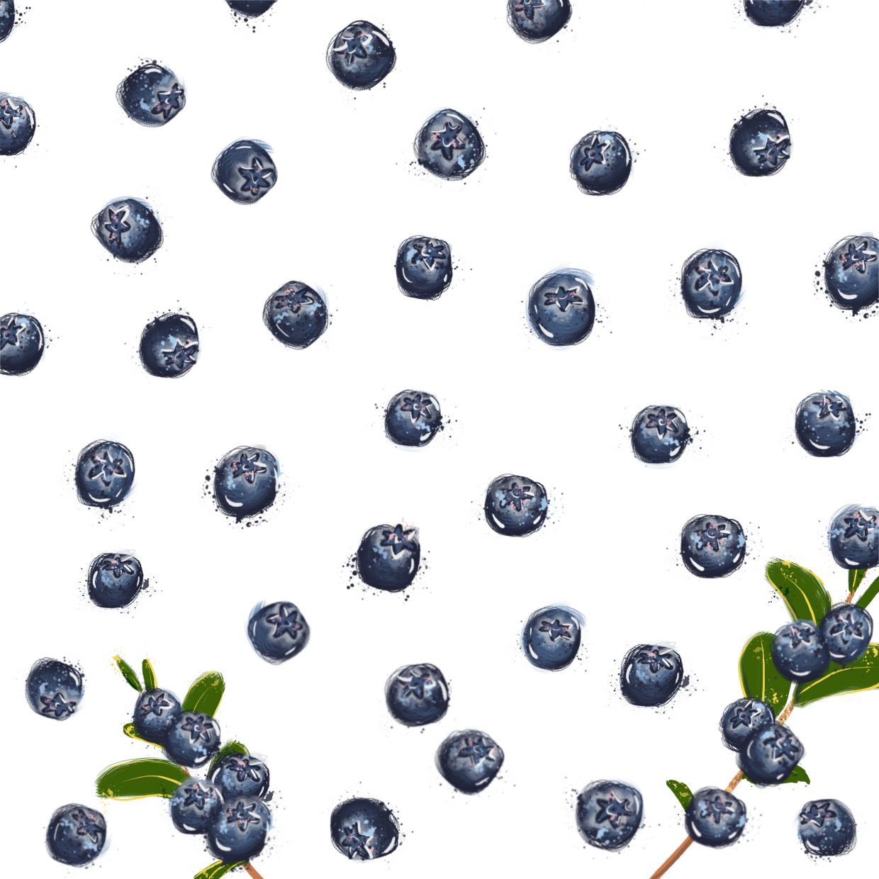 draw 50 things blueberries