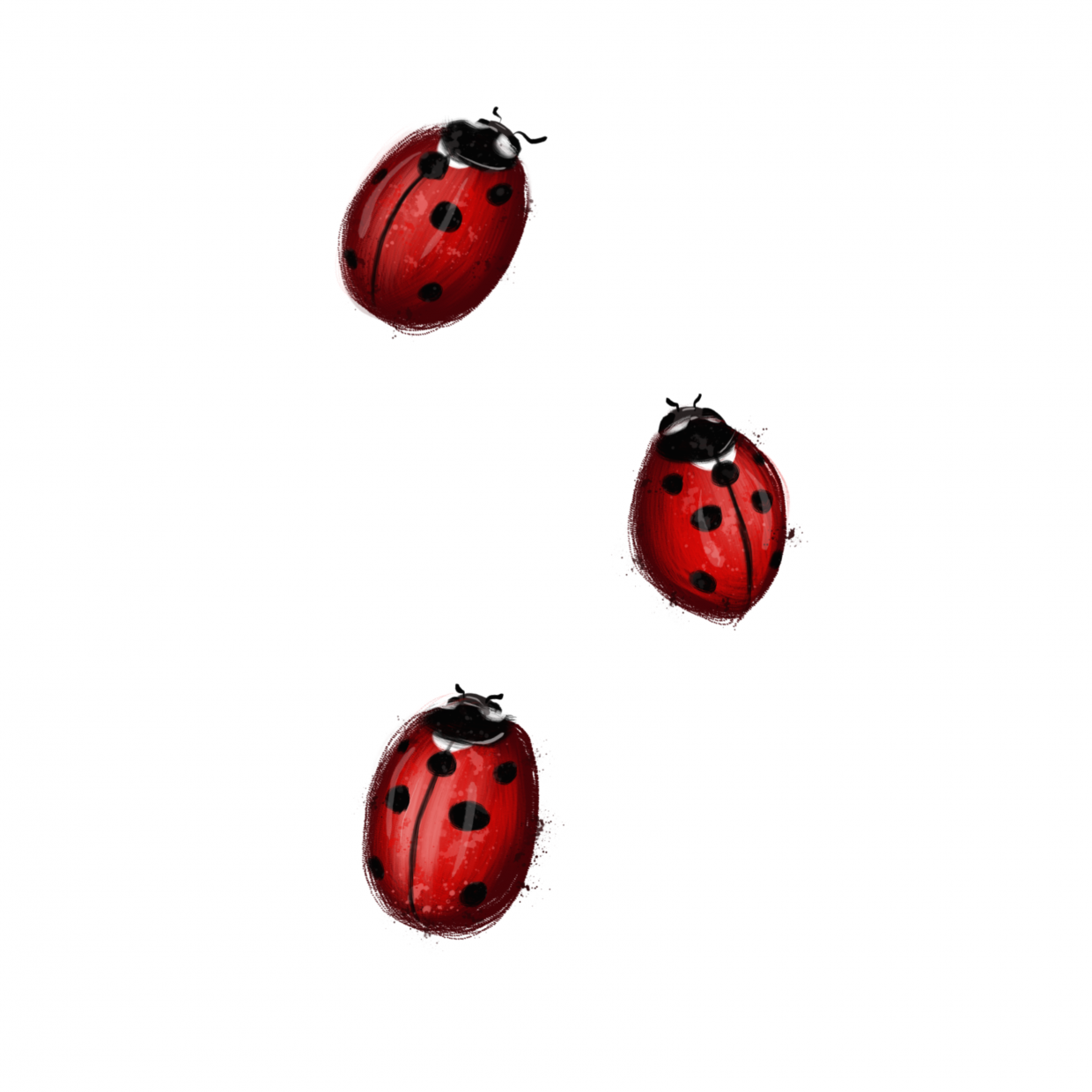 draw 50 things ladybugs