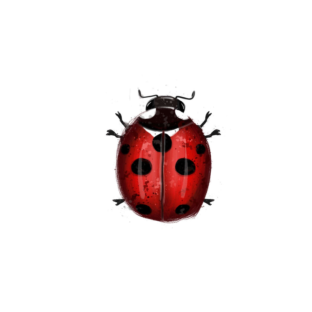 draw 50 things ladybug