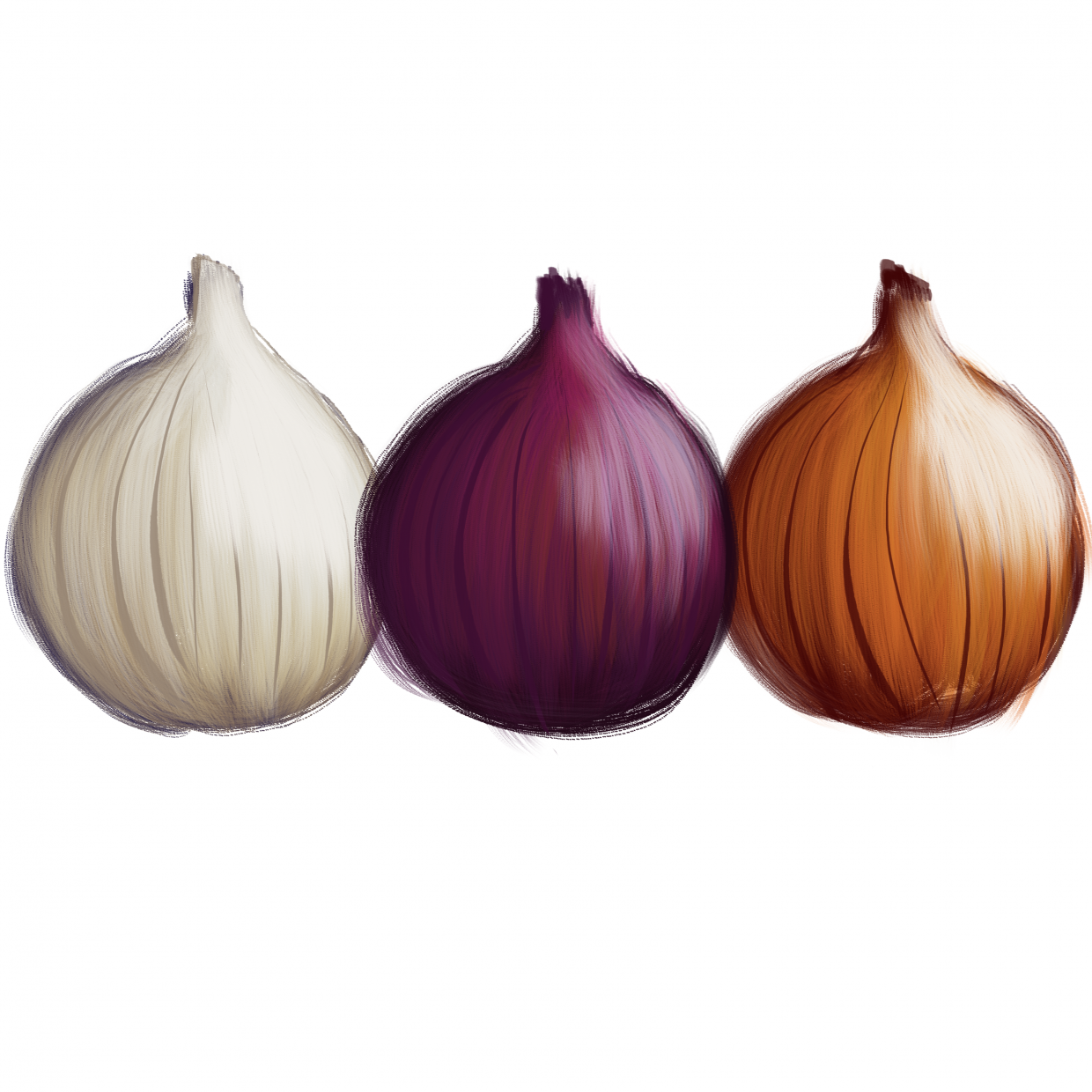 draw 50 things onion