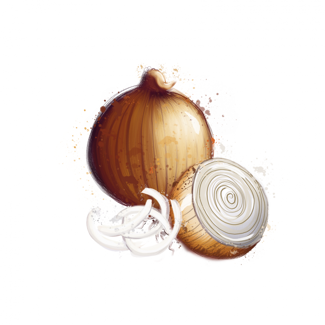 draw 50 things onion