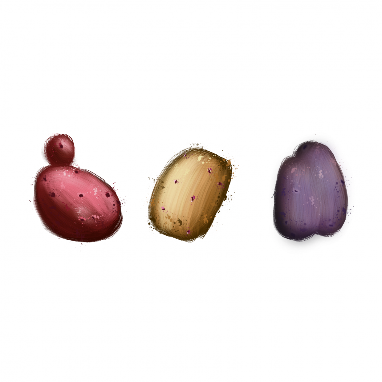 draw 50 things potato