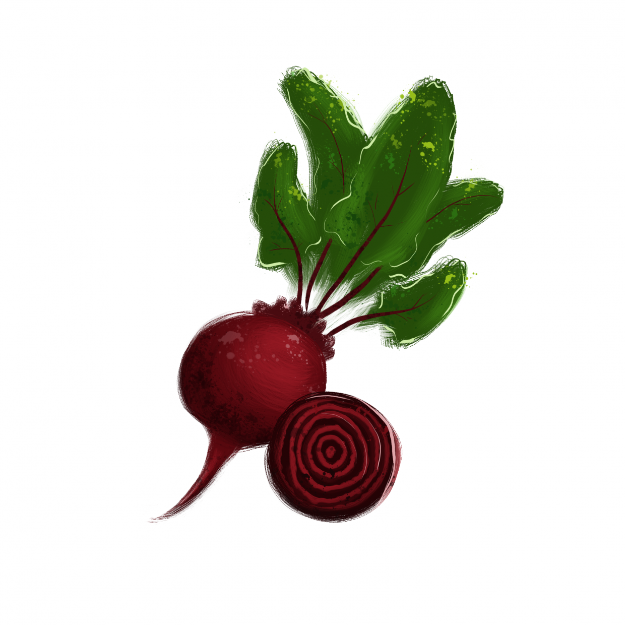 draw 50 things beets