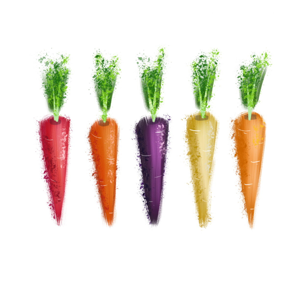 Rainbow carrots