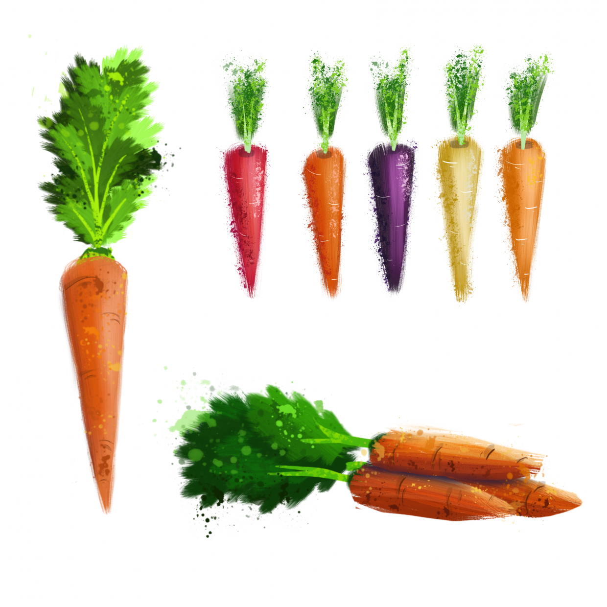 pretty carrot compilation