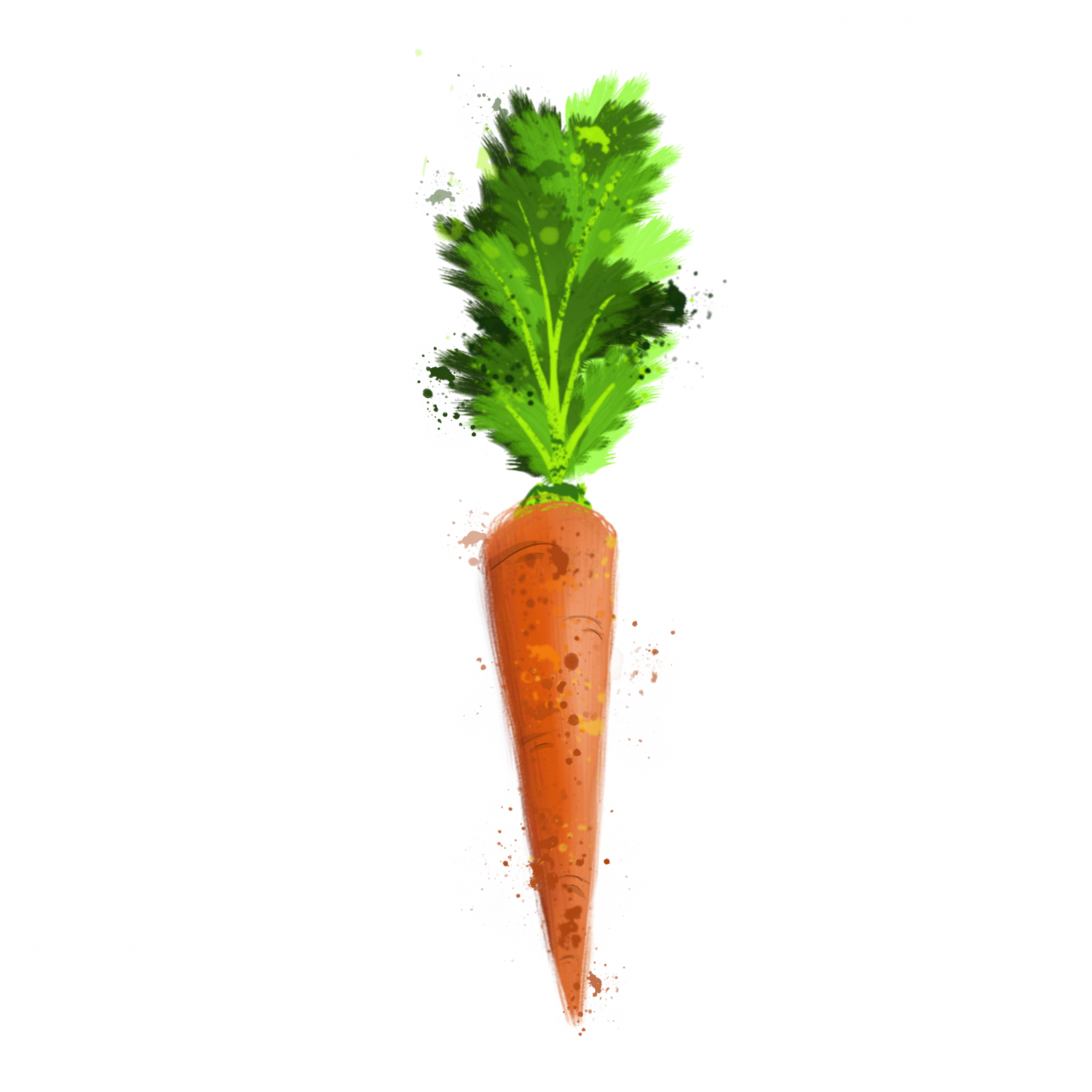 simple orange garden carrot