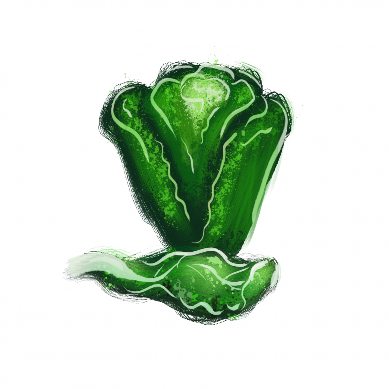 draw 50 things lettuce