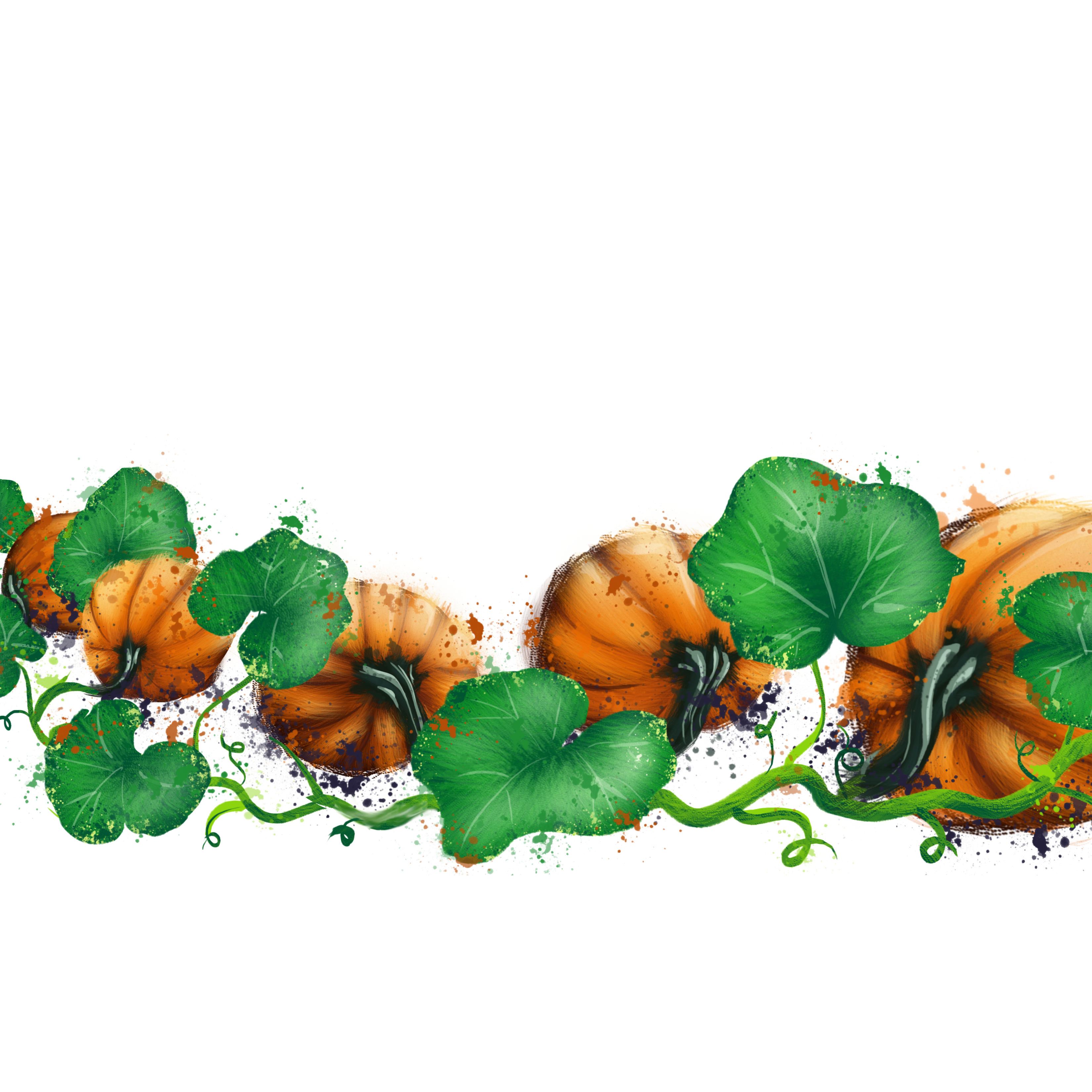 pumpkins on a vine