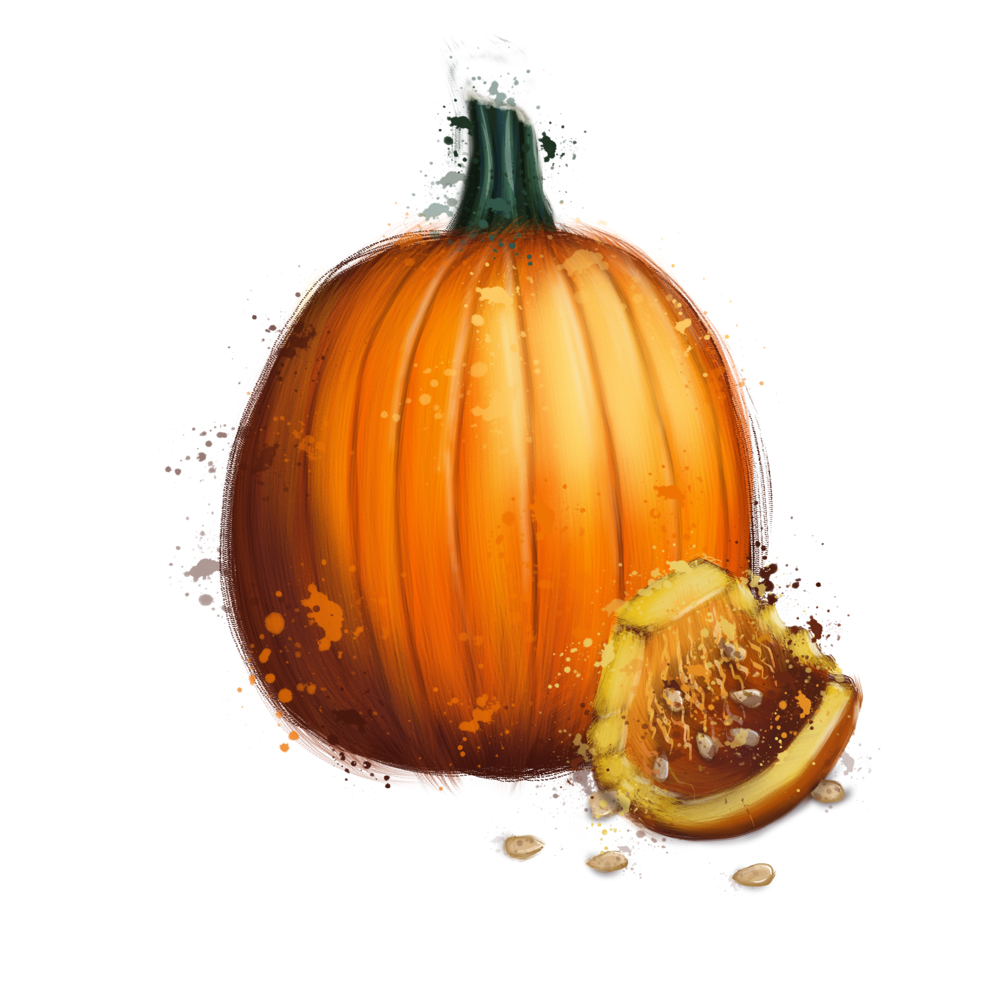 a pumpkin study