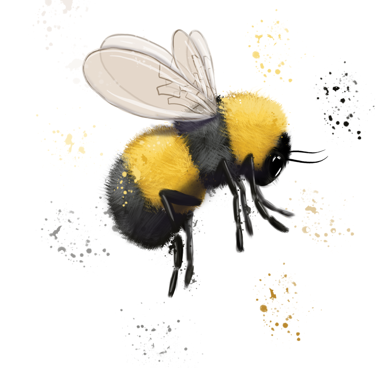 fuzzy bee