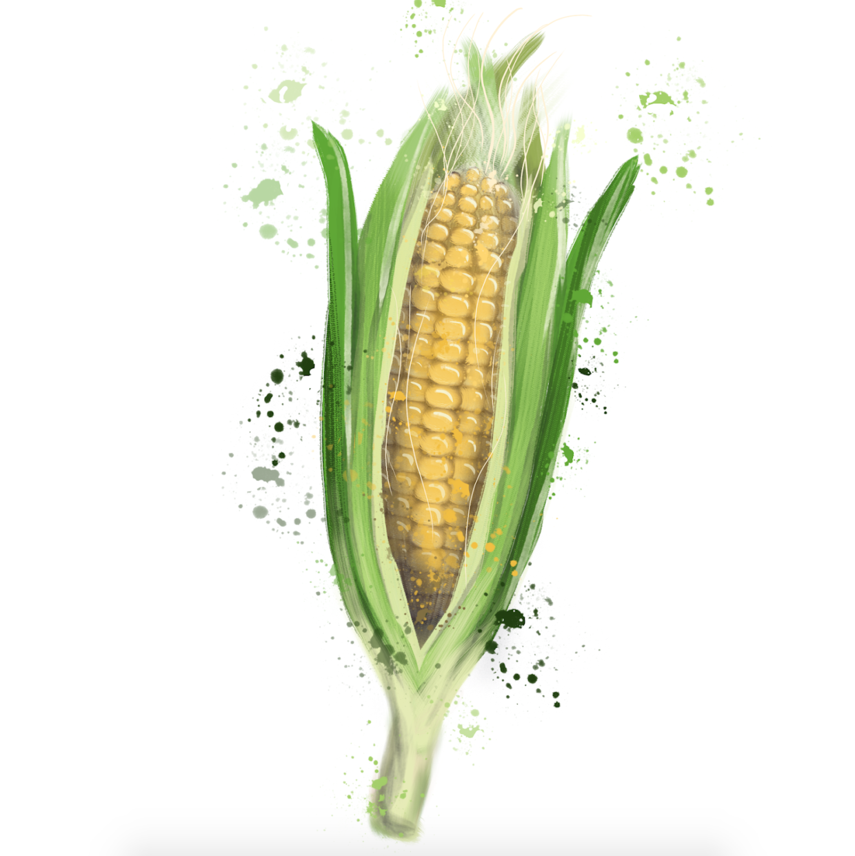 corn