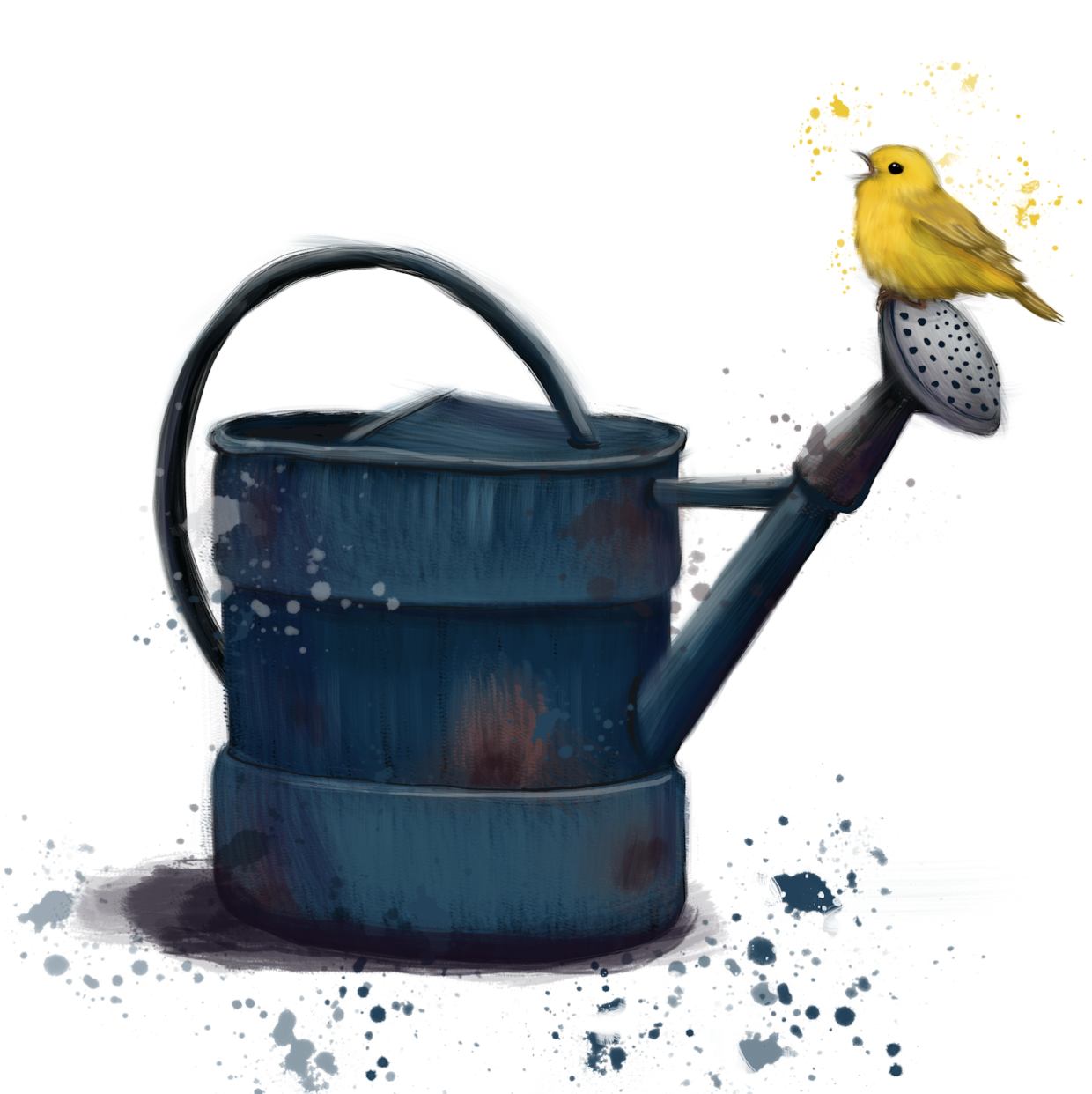 Yellow finch on a blue watering can