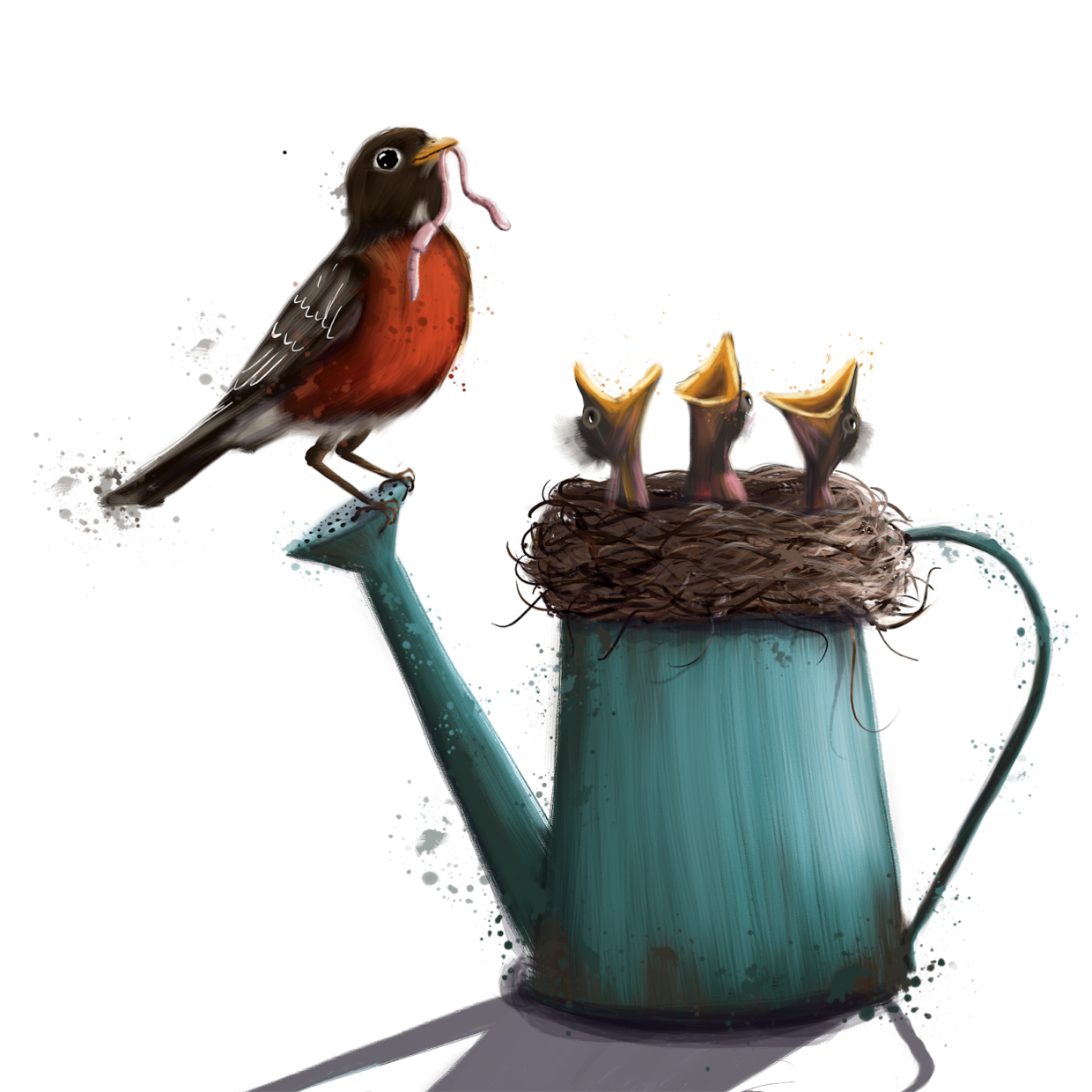 Robin feeding babies in a watering can